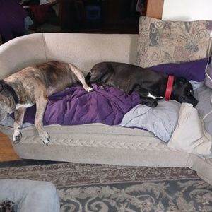 Meet your Posher, Tammy